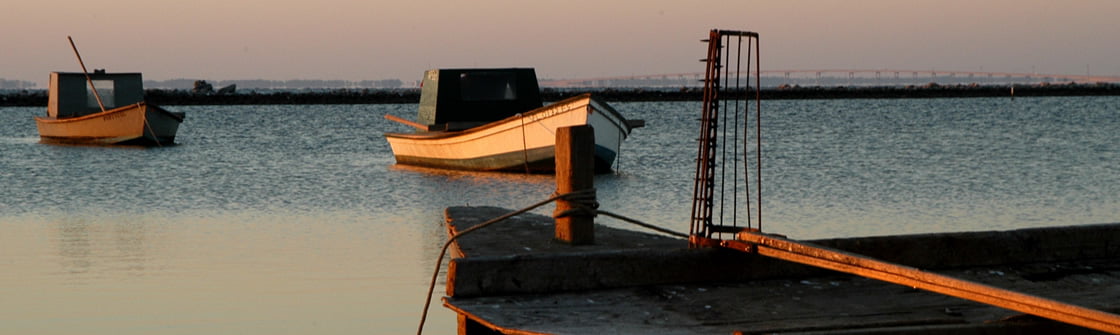 Oyster Boats